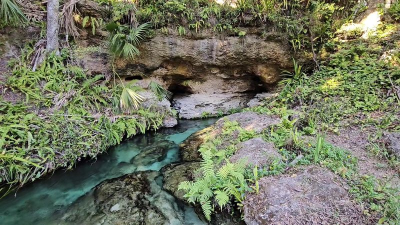 Rock Springs — Apopka