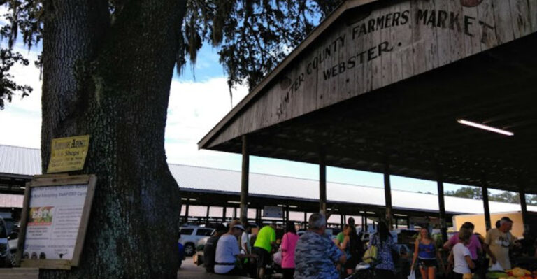 Right Off The Road In Webster, Florida Is A Bustling Flea Market Full Of Hidden Treasures