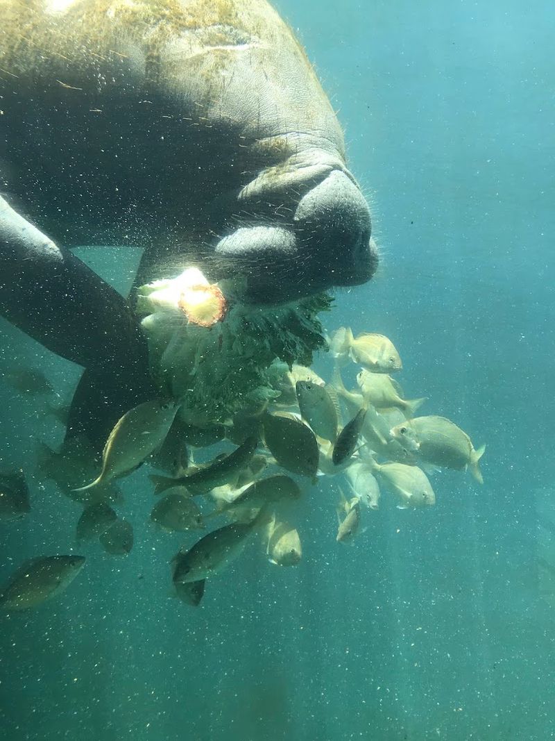 Educational Programs Make Conservation Feel Personal