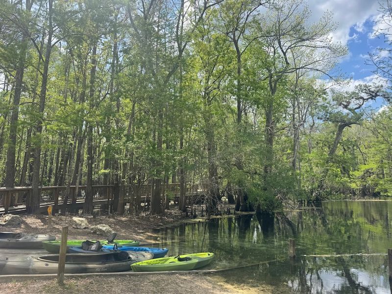 Kayaking Adventures From Spring to Suwannee River