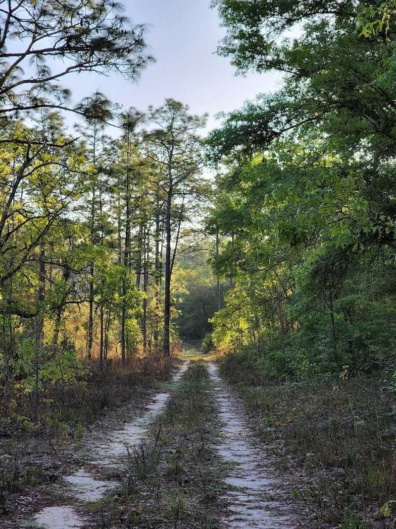 Finding the Hidden Trailhead