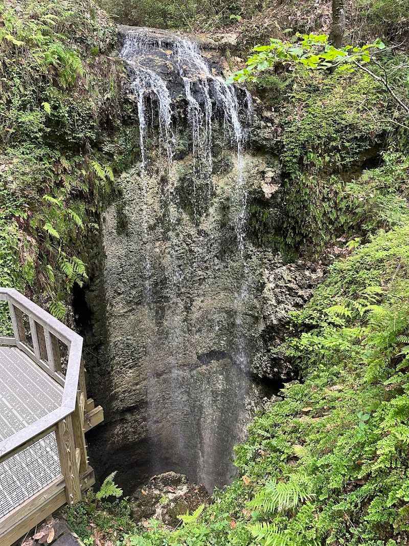 A Florida waterfall that does not play by Florida rules