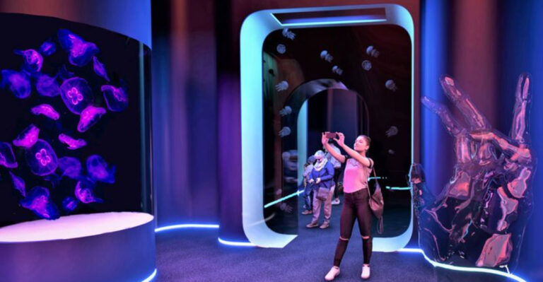The Nation’s First Jellyfish Museum Just Opened In Pompano Beach, Florida