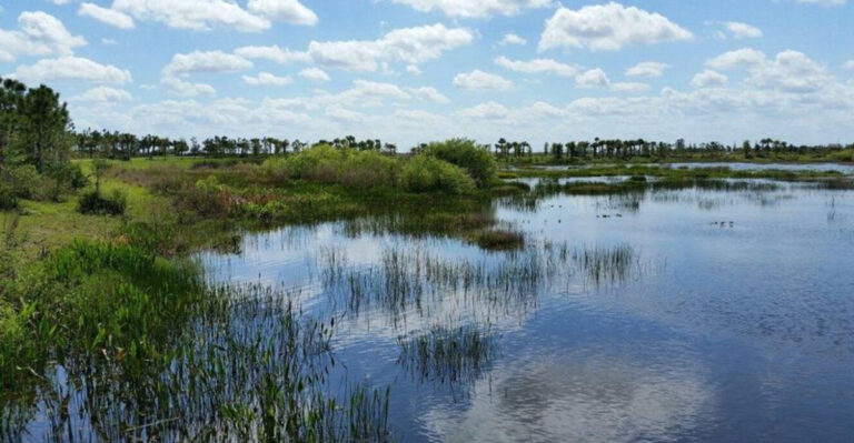 The View From This Florida Tower Might Be One Of The Most Underrated In The State