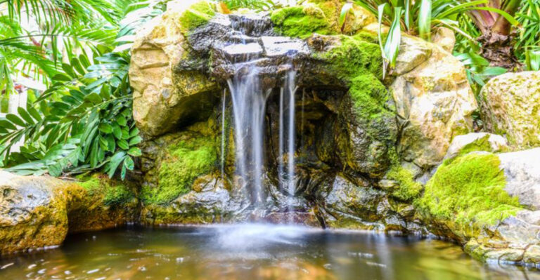 There’s A Hidden Tropical Paradise In St. Pete, And It Feels Straight Out Of A Dream