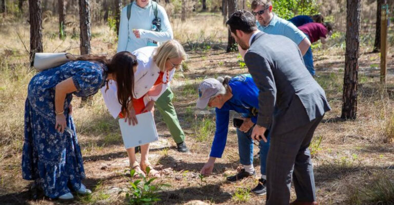 There’s a Hike in Florida That Smells Like Chocolate When the Wildflowers Bloom