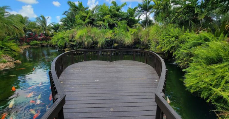 There’s A Secret Heart Koi Pond In Miami, And It’s Technically Free To Visit