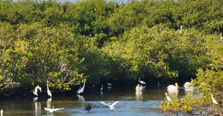 There’s a Secret Wildlife Refuge in Florida, and It’s One of the State’s Most Breathtaking Escapes