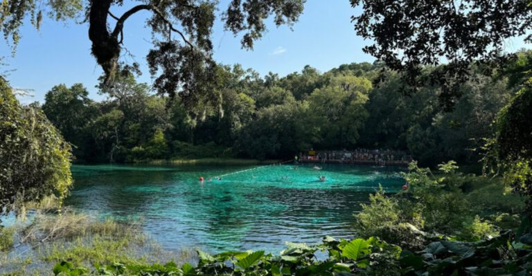 There’s A Tiny Florida Park Where You Can Float Through Water That Looks Like Glass