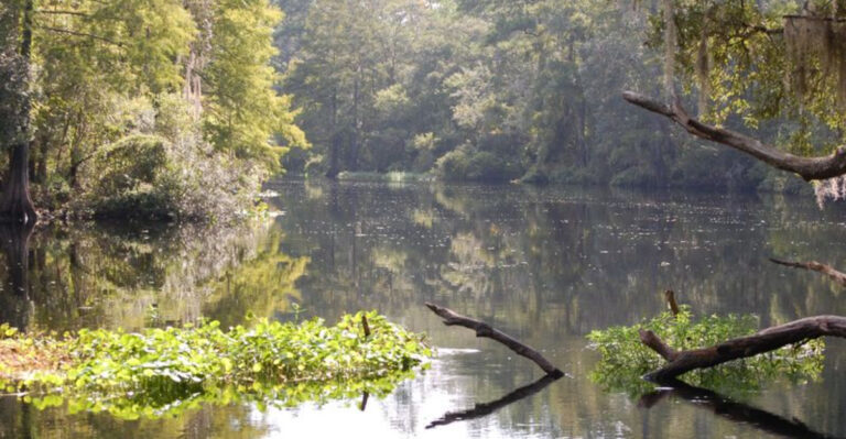 There’s A Wild Florida Spot Where The Trails Feel Almost Completely Untouched
