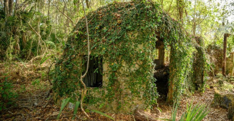 There’s An Abandoned Florida Village Filled With Tiny “Elf Houses,” And Nobody Seems To Know Why