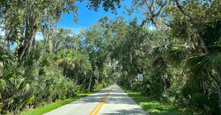 These 13 Florida Backroads Lead To Some Of The State’s Prettiest Views