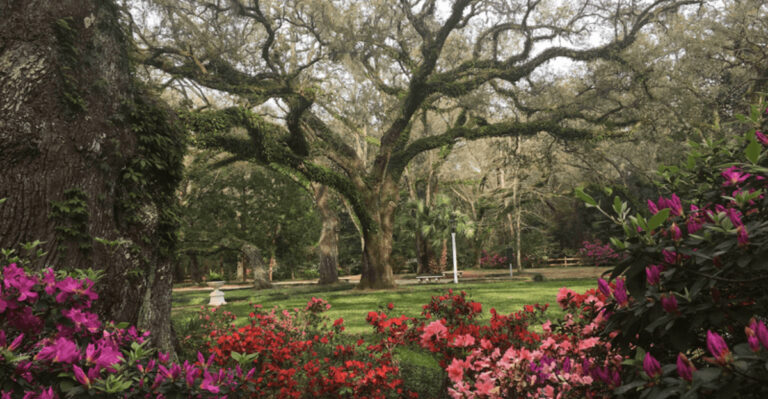 These Are The 8 Florida Panhandle State Parks Worth Planning A Trip Around