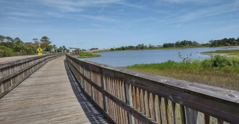 This 8-Mile Bike Ride Near Jax Is Packed With Water Views and Wild Little Surprises