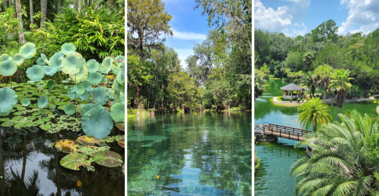 This Budget-Friendly Florida Road Trip Packs In Some Of The State’s Most Beautiful Spots