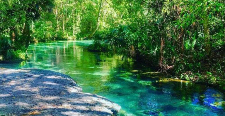 This Dreamy Lazy River In Florida Lets You Drift Through Paradise