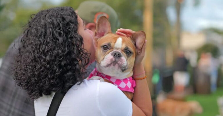 This Florida Hangout Lets Dogs Play Free While Their Humans Kick Back