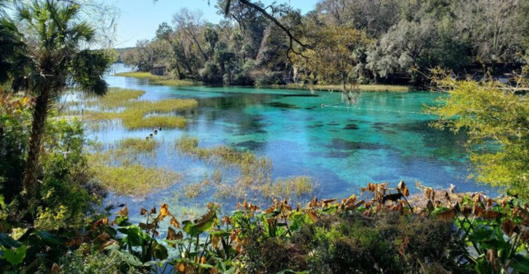 This Florida River Is So Clear, It Feels Like Floating on Air