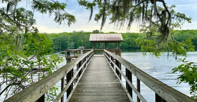This Florida State Park’s Scenic Boardwalk Leads Straight Into A Towering Cypress Forest