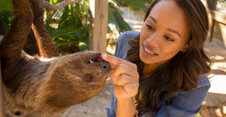 This Florida Wildlife Park Lets You Cuddle A Real Sloth, And Yes, It’s As Magical As It Sounds