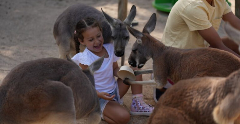 This Florida Zoo Is Making Father’s Day Extra Special With A Free Treat For Dads