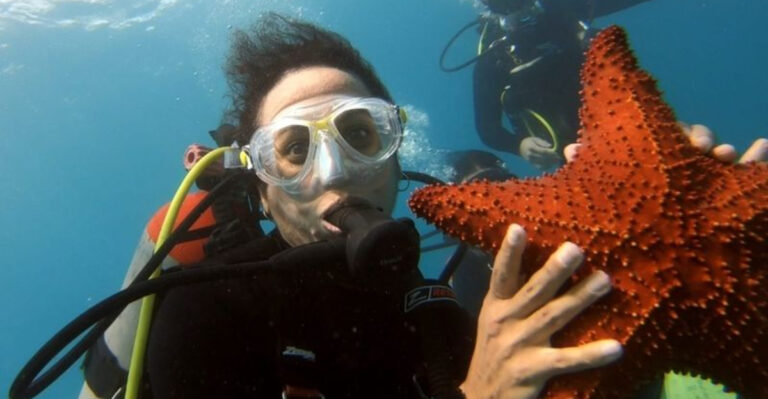 This Free Florida Snorkel Trail Lets You Swim Through One of the Country’s Best Underwater Worlds