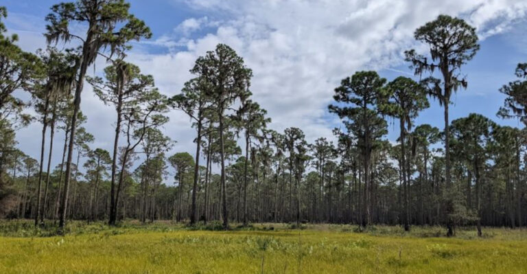 This Is the Best Free Scenic Drive in Florida You’ve Probably Never Heard Of