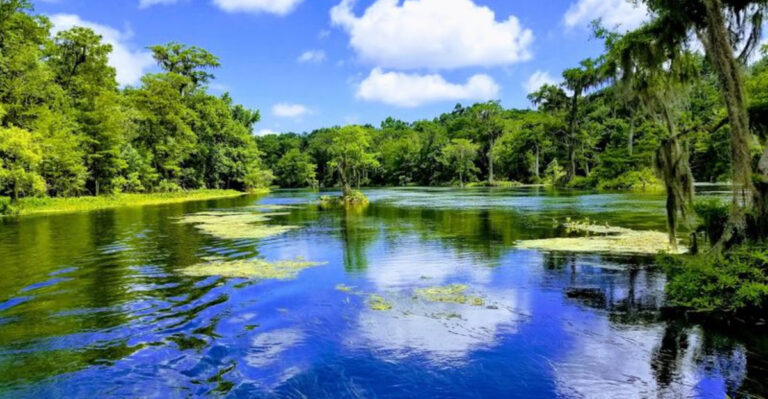 This Massive Florida Swimming Hole Is One Of The Deepest Freshwater Springs On Earth