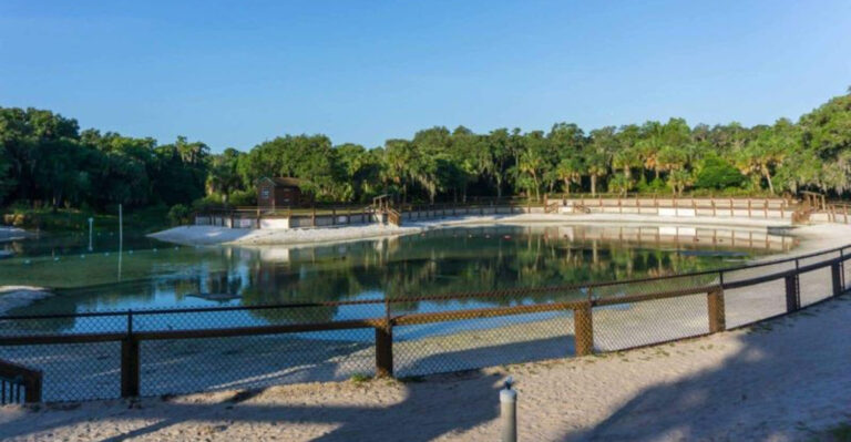 This Natural Florida Swimming Hole Is Cheap, Cool, And Perfect For A Lazy Summer Day