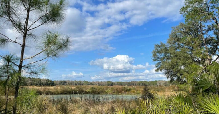 This Overlooked Florida State Park Is The Quiet Weekend Reset You Didn’t Know You Needed