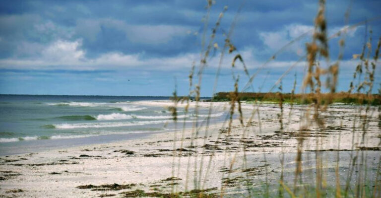 This Scenic Florida State Park Feels Like A Deep Breath In The Middle Of Nature