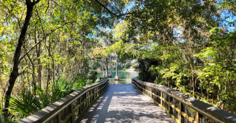 This Secret Florida Swimming Spot Looks Like It Belongs In A Travel Magazine