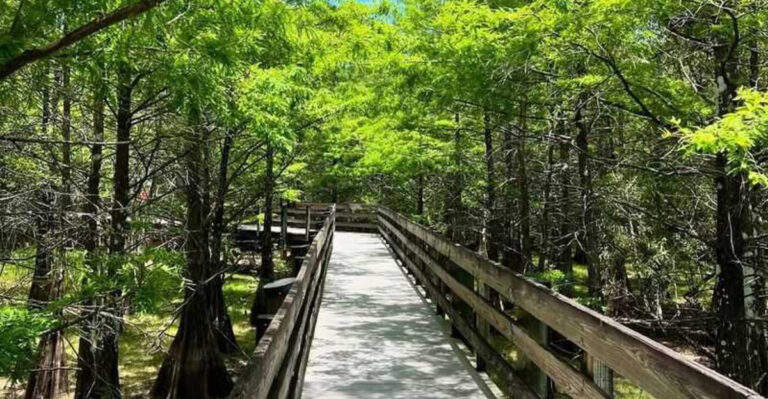 This Stunning 2.7-Mile Florida Boardwalk Trail Winds Through Cypress Swamps And Wild Wetlands