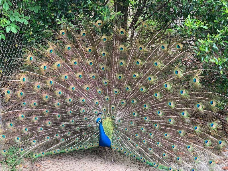 What Makes This Zoo Worth The Drive From Anywhere In The Panhandle