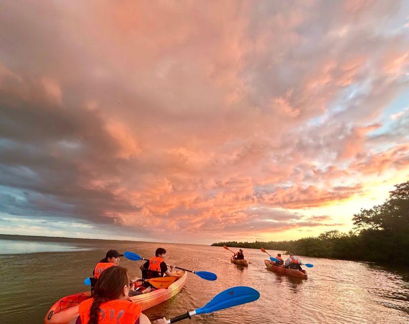 Wildlife Encounters Beyond the Glow