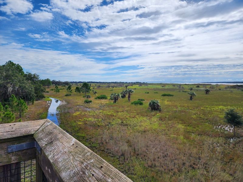 Lake Kissimmee State Park — Lake Wales