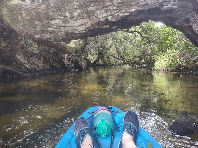 The Legendary Seven-Mile Paddle