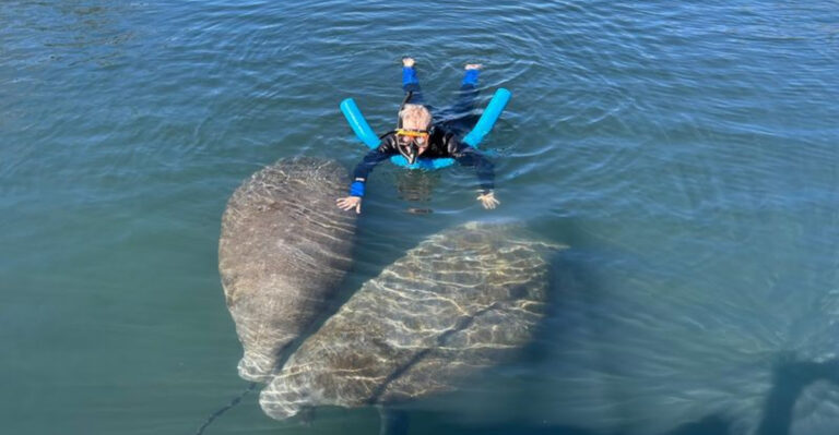 Wake Up Among Manatees on This One-of-a-Kind Florida Houseboat Getaway