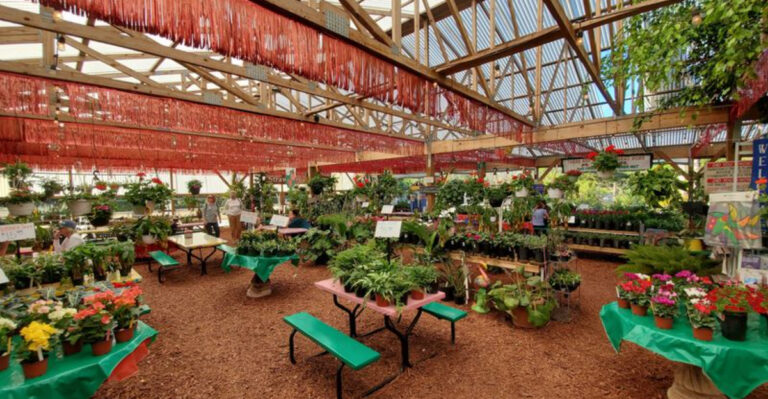 Want a Better Yard? Locals Recommend These 12 Florida Garden Markets