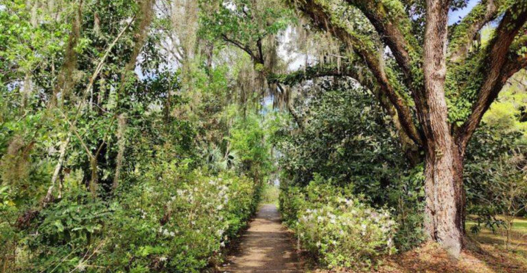 We Found A Peaceful Riverfront Park In Jacksonville That Feels Miles Away From Everything