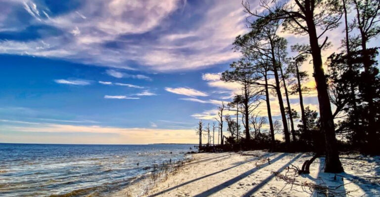When You Need a Break From the World, This Florida Beach Delivers