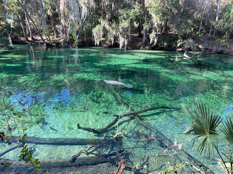 Blue Spring State Park — Orange City