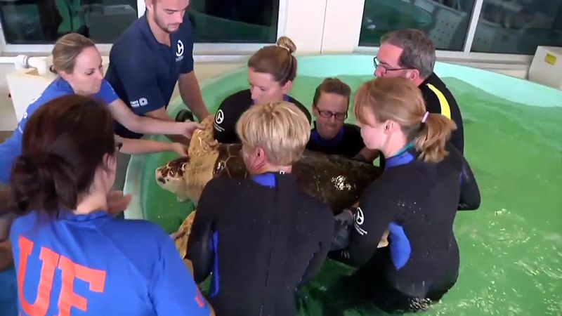 Behind-the-Scenes Hospital Access Shows Real Rescue Work
