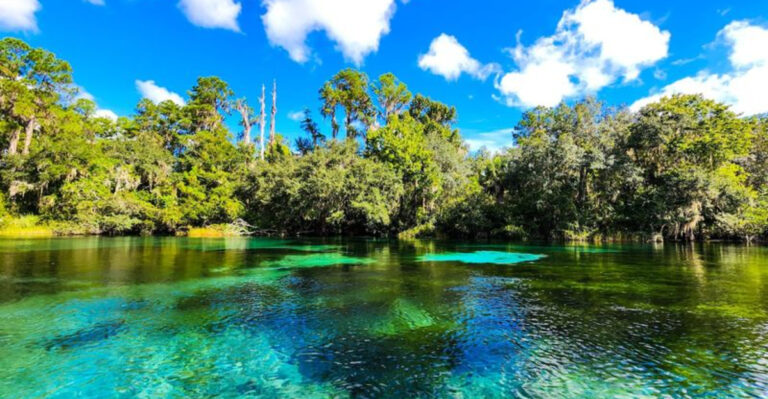 You Can Swim, Kayak, and Camp Under the Stars at This Hidden Florida Gem