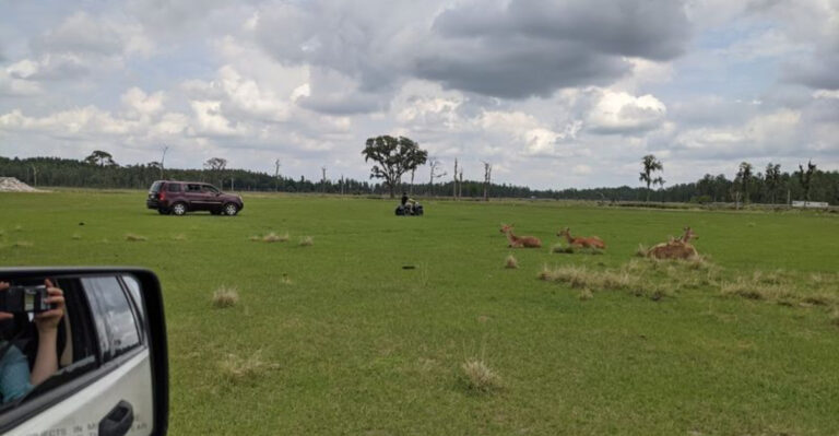 You Don’t Need a Passport for This Wild Safari Adventure in Florida