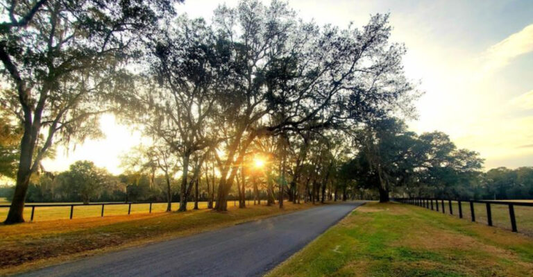 10 Charming Florida Towns With Trails, Springs, and Wild Places Nearby