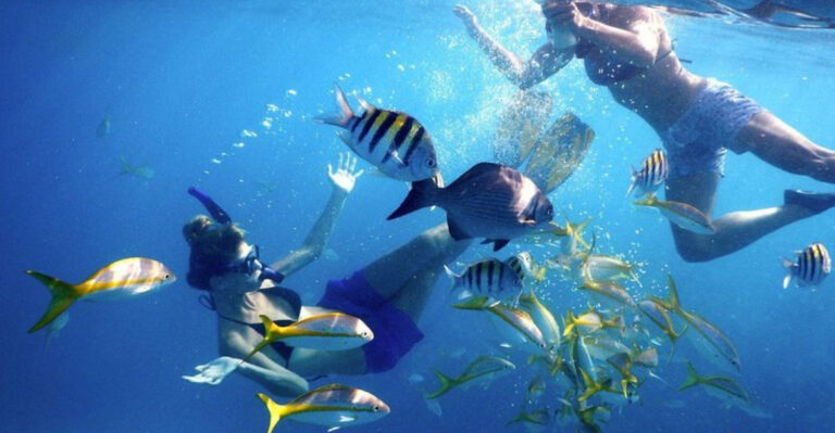 10 Crystal-Clear Florida Snorkeling Spots That Feel Almost Too Pretty To Be Real