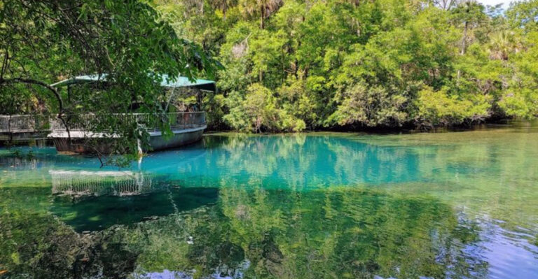 10 Florida Day Trips That Feel Like a Vacation for Less Than $55
