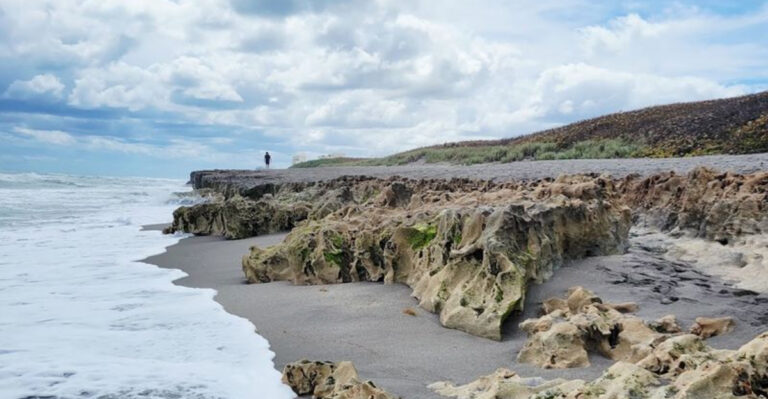 10 Florida Spots Where the Ground Is Made of Ancient Shells