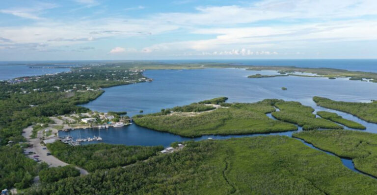 10 Unforgettable Florida Day Trips Your Family Will Never Stop Talking About